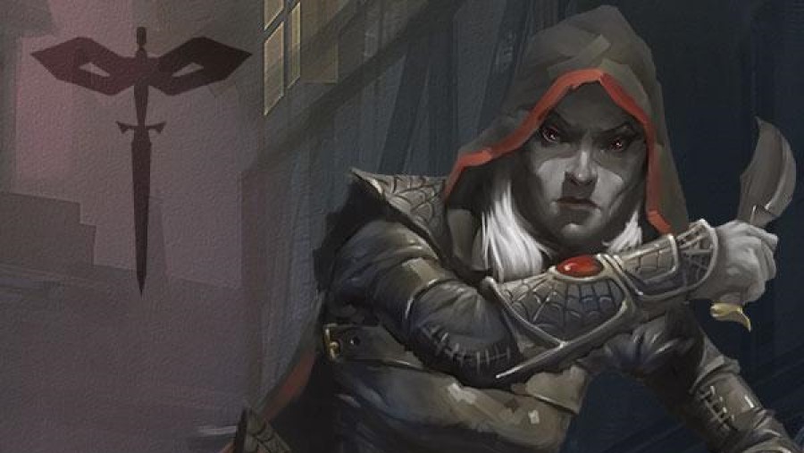 dungeons and dragons rogue guide