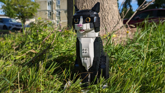 Lego Ideas: Tuxedo Cat review image showing the cat sitting outside in the grass.